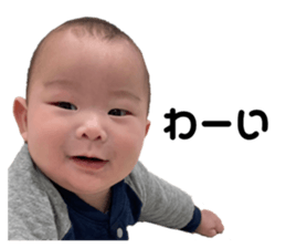 485656550