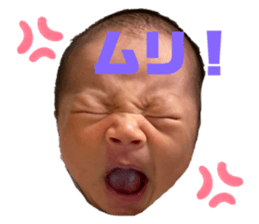 485657310