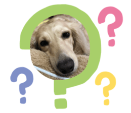 485672031