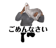485673577
