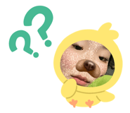 485932409