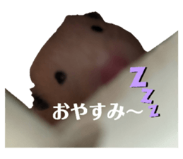 485963368