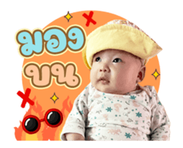 486002647