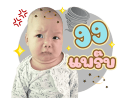 486002650