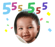 486037666