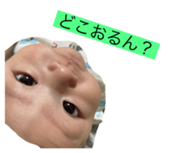 486126984
