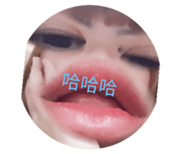 486228861