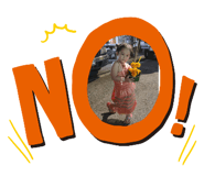 486241843