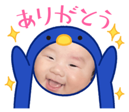 486247178