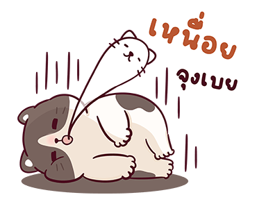 บ้านแมวชาเล็ม : น่าฮัก รูปที่ 5