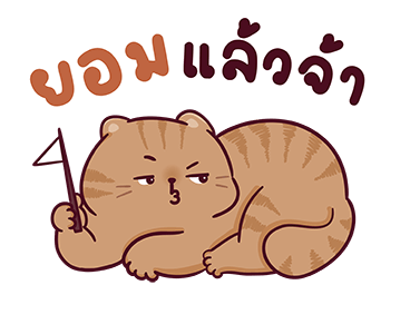 บ้านแมวชาเล็ม : น่าฮัก รูปที่ 7