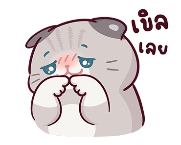 บ้านแมวชาเล็ม : น่าฮัก รูปที่ 9