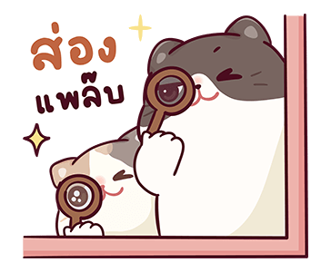 บ้านแมวชาเล็ม : น่าฮัก รูปที่ 11