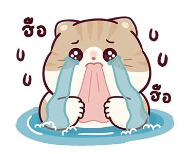 บ้านแมวชาเล็ม : น่าฮัก รูปที่ 12