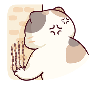 บ้านแมวชาเล็ม : น่าฮัก รูปที่ 19