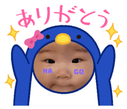 486269630