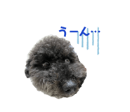 486278278