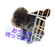 486278289