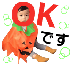 48628205
