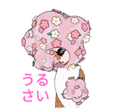 486363493