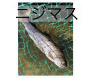 486380092