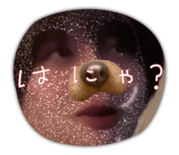 486472768