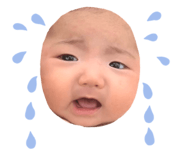 486545580