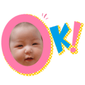 486549433
