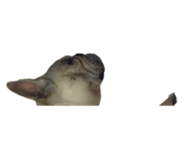 486558655