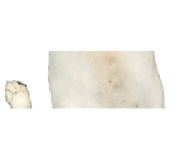 486558662