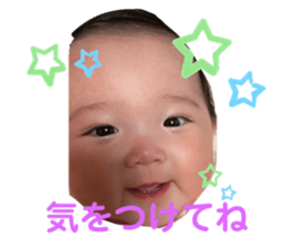 486559394