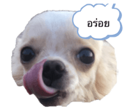 486560940