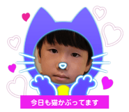 486563914