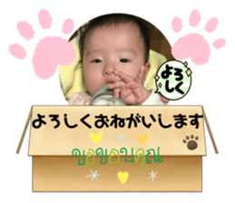 486582923