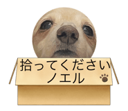486588717