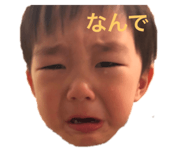 486597029