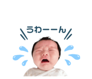 486619665