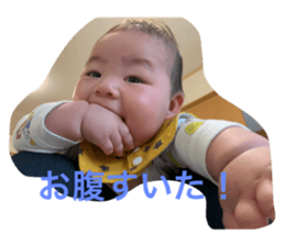 486642154