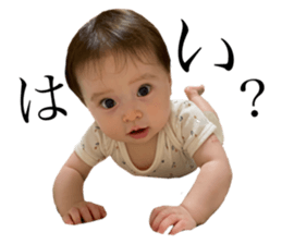 486676618