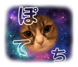 486677599