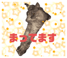 486677621