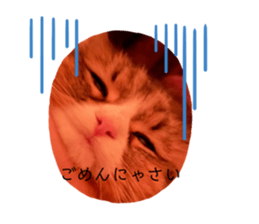 486677622