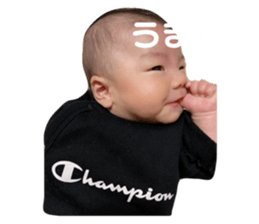 486684371
