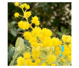 486686758