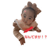 486691560