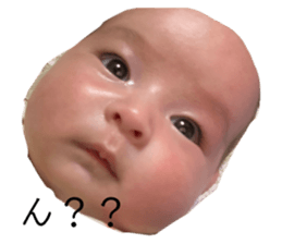 486835067