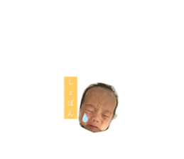 486840731