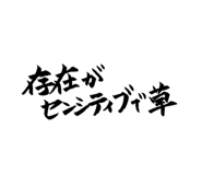 486843486