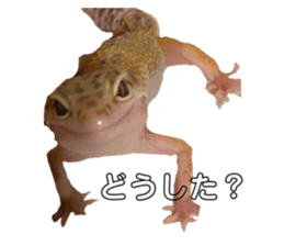 486848830