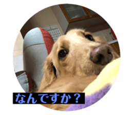 486853845